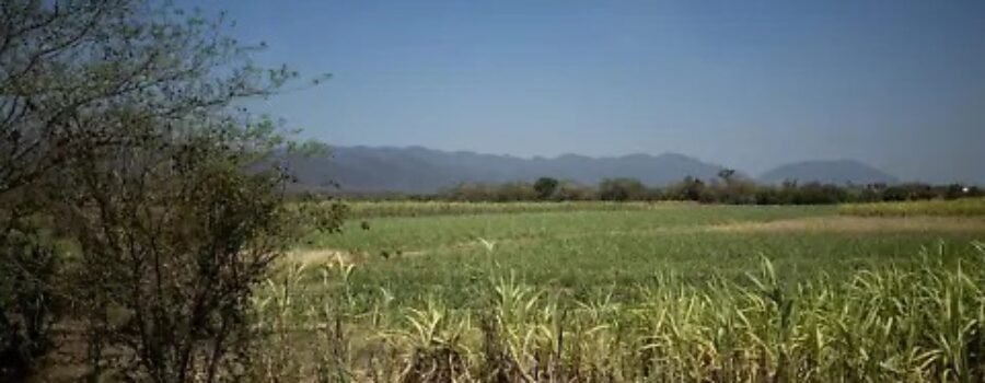 Barómetro San Luis