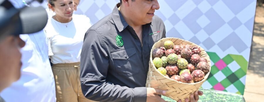 Barómetro San Luis