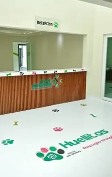 Barómetro San Luis