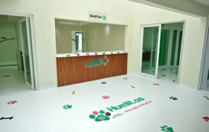 Barómetro San Luis